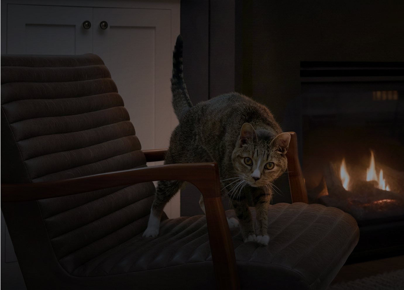 A cat standing on a chair at night near a fireplace