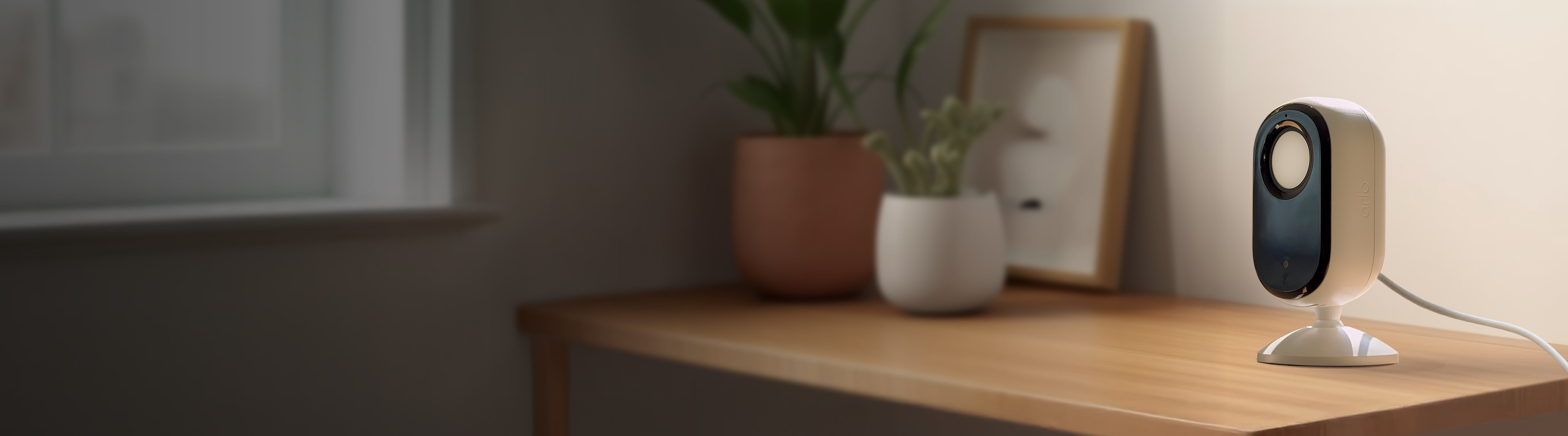 Indoor Security Cameras