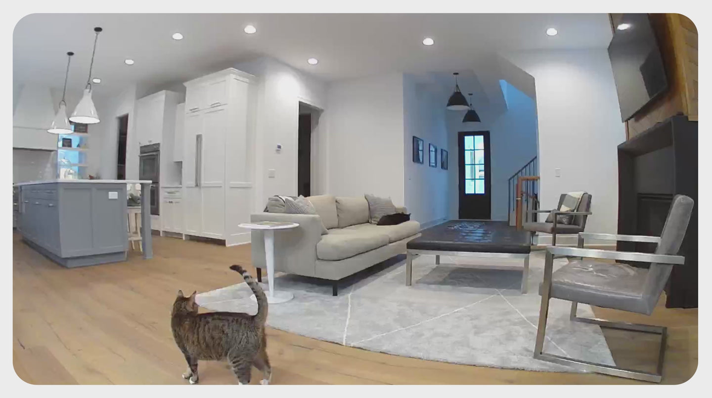 Charger la vidéo : 